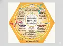 benessere-colmena-del-te-usos.webp